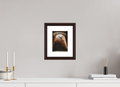 15 x 20 cm, Alder Brown The Cost — Palma de Mallorca