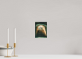 15 x 20 cm, Print Only The Cost | Palma de Mallorca